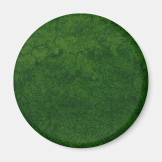 Imán Tierra Verde