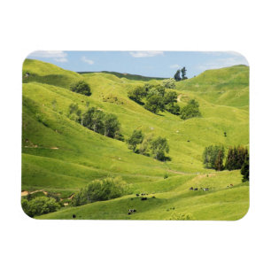 Imán Tierras de cultivo cerca de Gisborne, Nueva Zeland