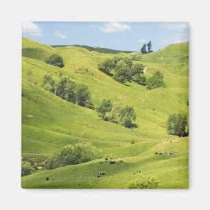 Imán Tierras de cultivo cerca de Gisborne, Nueva Zeland