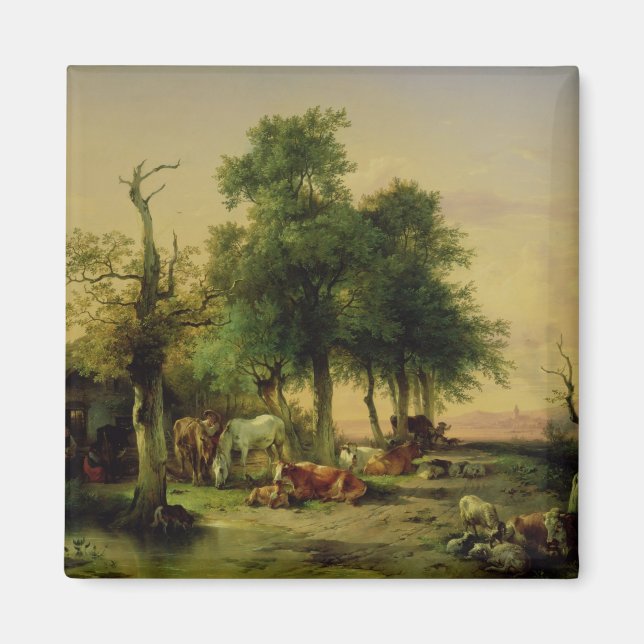 Imán Tierras de pastoreo (Frente)