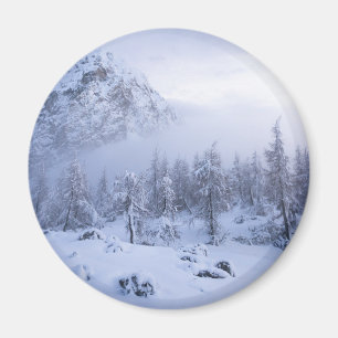 Imán Tierras maravillosas del invierno, niebla, bosque