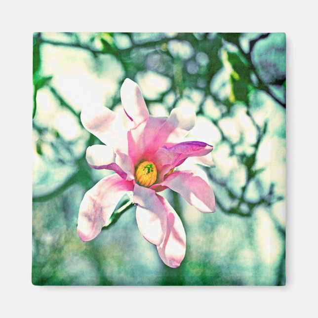 Imán Tiffany Magnolia