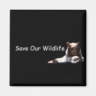 Imán Tiger Conservation Fridge Magnet