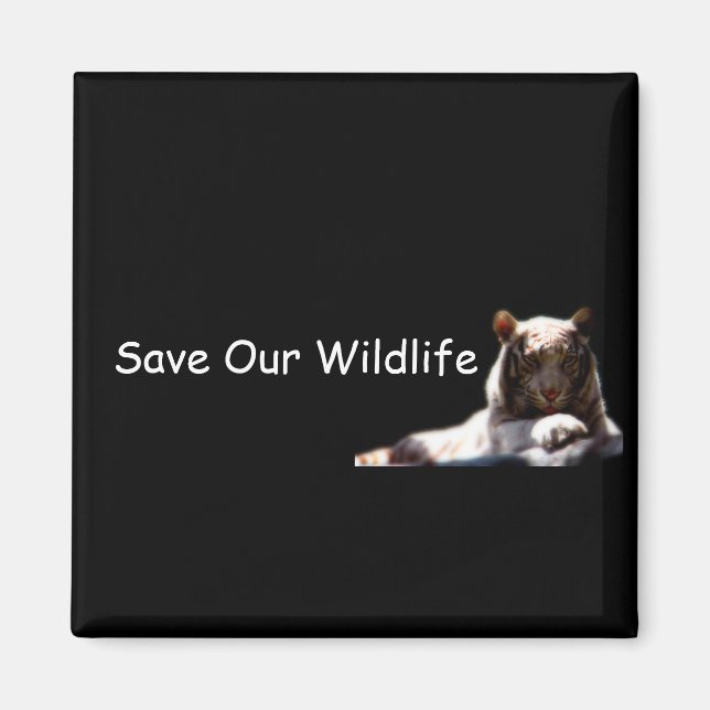 Imán Tiger Conservation Fridge Magnet (Frente)