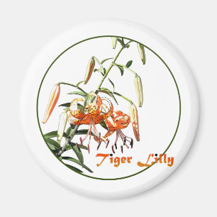 Imán Tiger Lilly