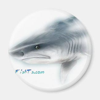 Imán Tiger Shark Head