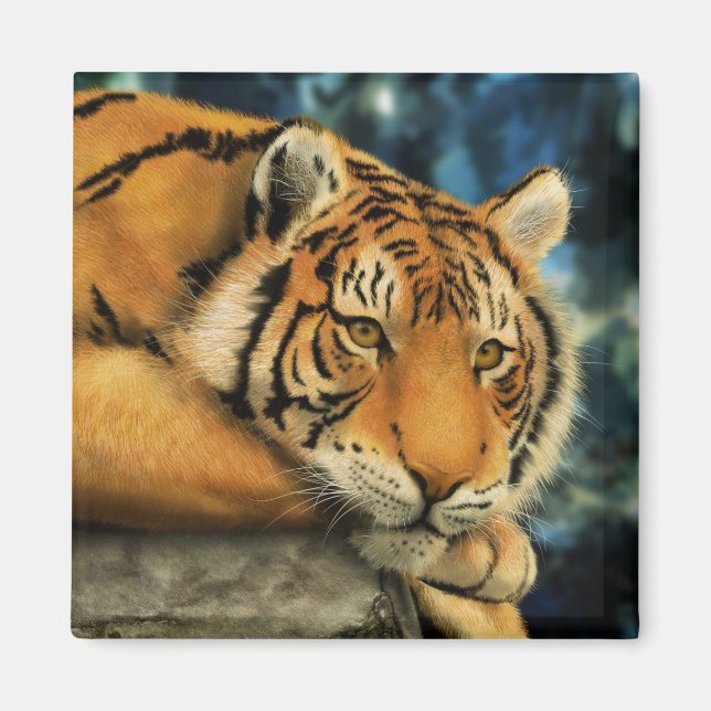 Imán Tigre (Frente)