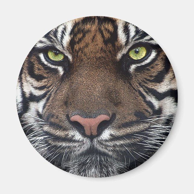 Imán Tigre (Frente)