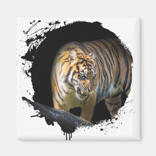 Imán Tigre Animal Vie Sauvage Jungle Naturaleza Liberté