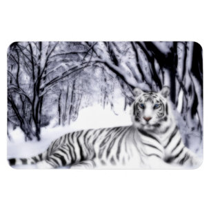 Imán Tigre blanco