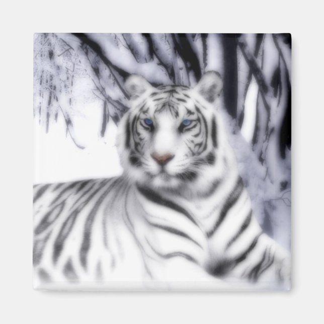 Imán Tigre blanco (Frente)