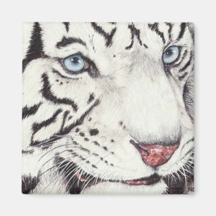 Imán Tigre blanco