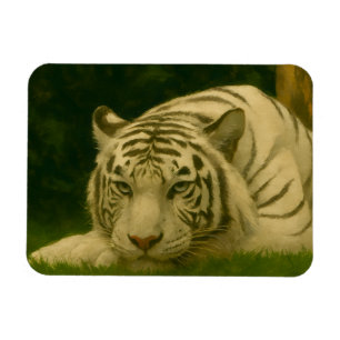 Imán Tigre blanco descansando en la sombra de Woodland