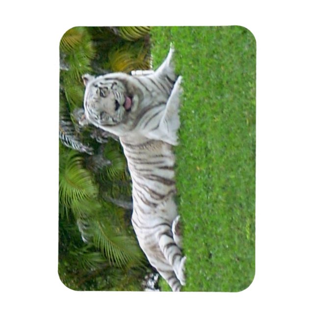 Imán Tigre Blanco Descansando en Pradera Verde Brillant (Vertical)