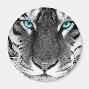 Imán Tigre blanco negro