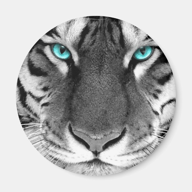 Imán Tigre blanco negro (Frente)