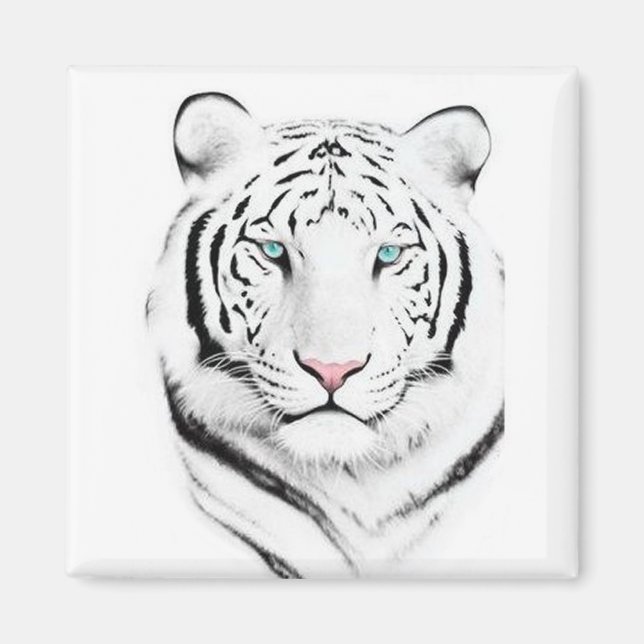 Imán Tigre blanco siberiano (Frente)