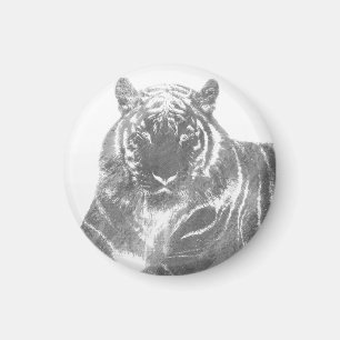 Imán Tigre blanco y negro