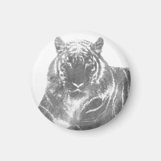Imán Tigre blanco y negro