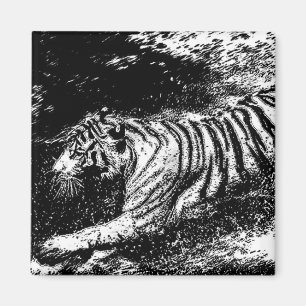 Imán Tigre blanco y negro que ataca