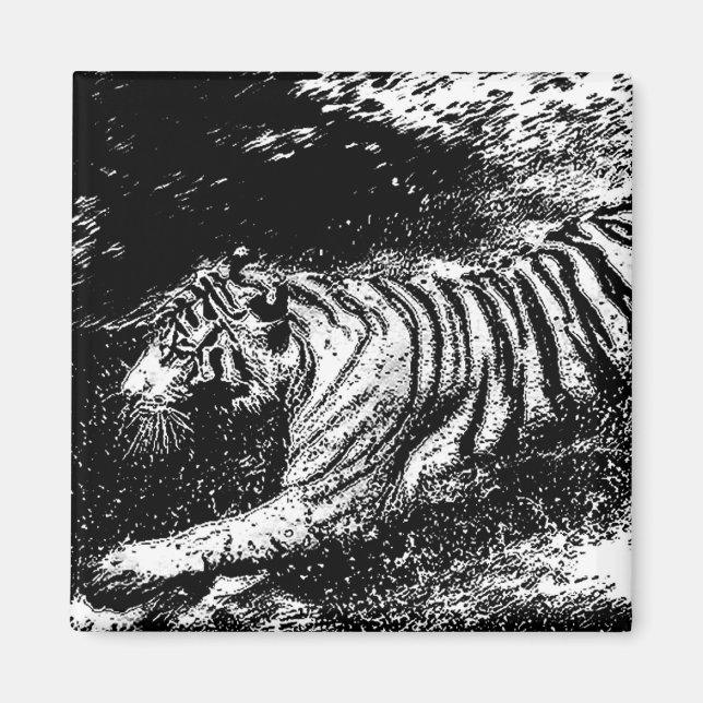 Imán Tigre blanco y negro que ataca (Frente)