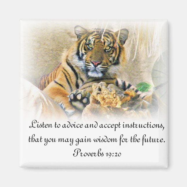 Imán Tigre, buscando_ (Frente)