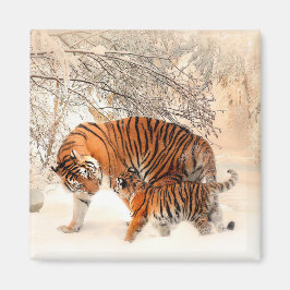 Imán Tigre con cachorro en nieve de invierno