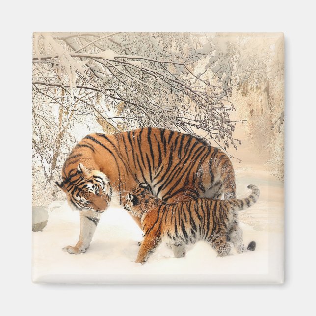 Imán Tigre con cachorro en nieve de invierno (Frente)