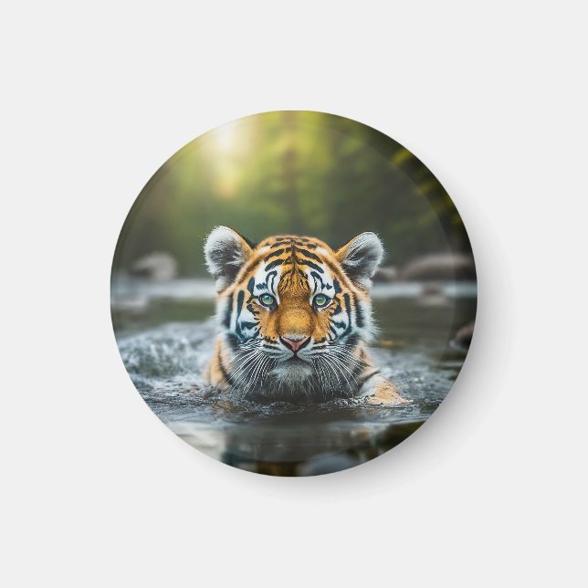 Imán Tigre de agua: Un depredador majestuoso (Frente)