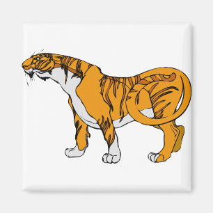 Imán Tigre de Bengala