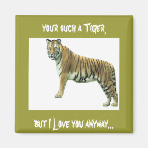 Imán Tigre de Bengala