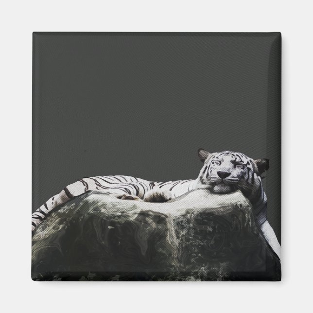 Imán Tigre de nieve blanco - Gato grande durmiendo (Frente)