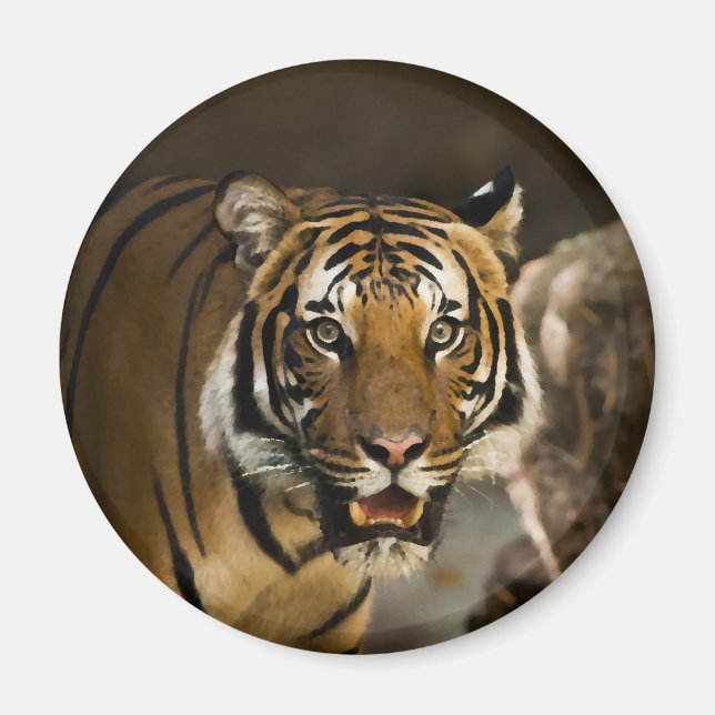 Imán Tigre de Siberia (Frente)