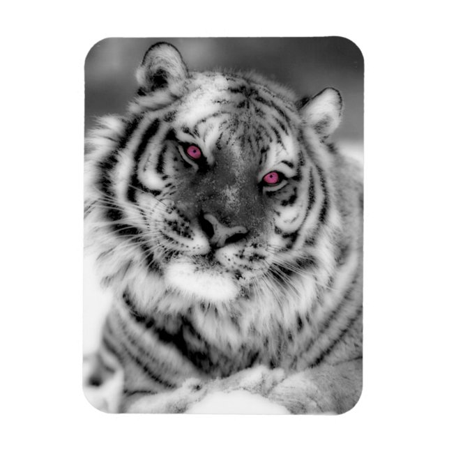 Imán Tigre Ojo Rosa (Vertical)