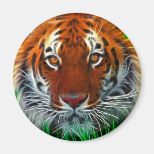Imán Tigre raro de Sumatran de Indonesia