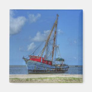 Imán Tigre tiburón