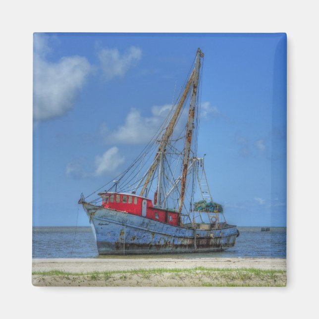 Imán Tigre tiburón (Frente)