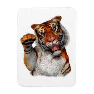 Imán Tigre, tigre