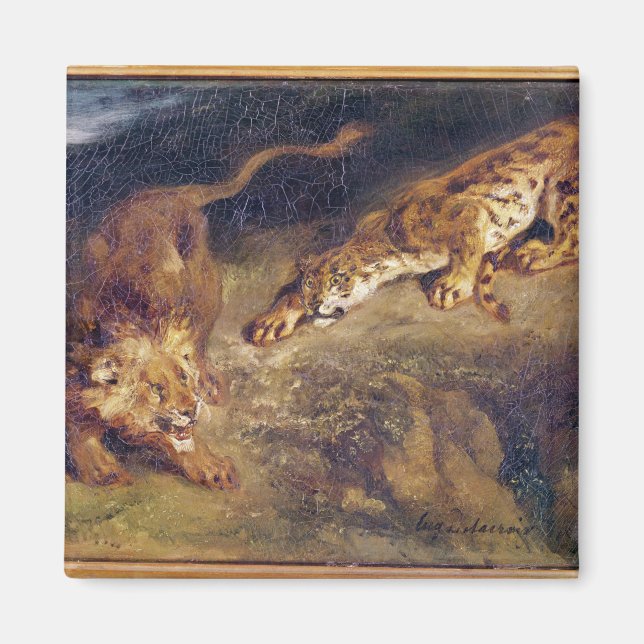 Imán Tigre y león (Frente)