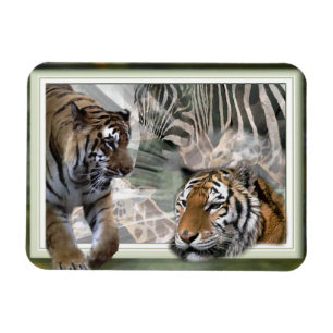 Imán Tigres, cebra, jirafa, jungla primitiva