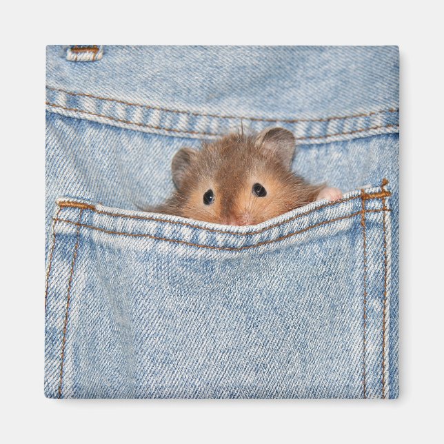 Imán tímido peekaboo (Frente)