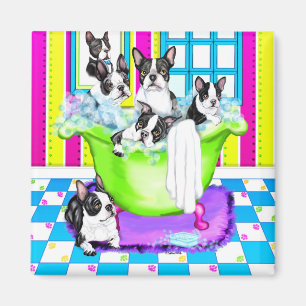 Imán Tina de Boston Terrier por completo