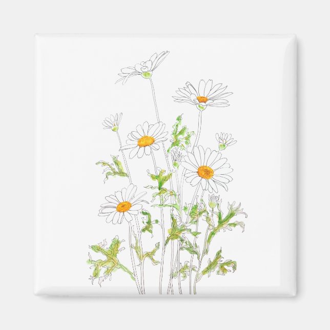 Imán tinta margarita blanca y acuarela (Frente)