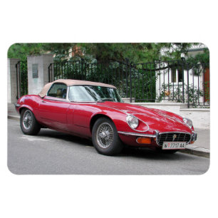 Imán Tipo Jaguar E