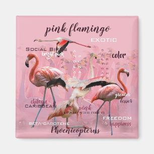Imán Tipografía de flamingo rosa Personalizado
