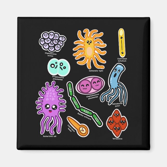 Imán Tipos De Bacterias (Frente)