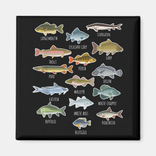 Imán Tipos De Especies De Pescado De Agua Dulce