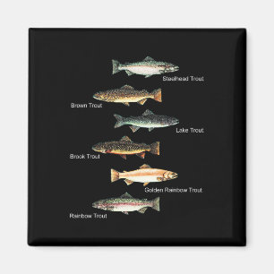 Imán Tipos De Pesca De Especies De Trucha