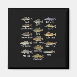 Imán Tipos De Pescado De Agua Dulce Especies Pesqueras 