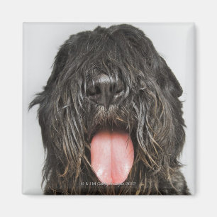 Imán Tiro del estudio